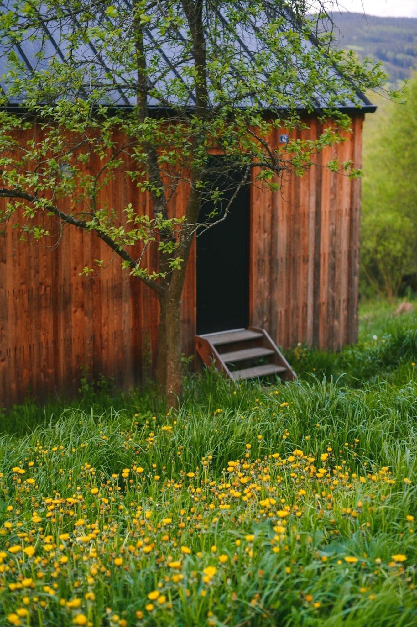 Tri Domky - Tiny Houses Depoltice Exterior foto
